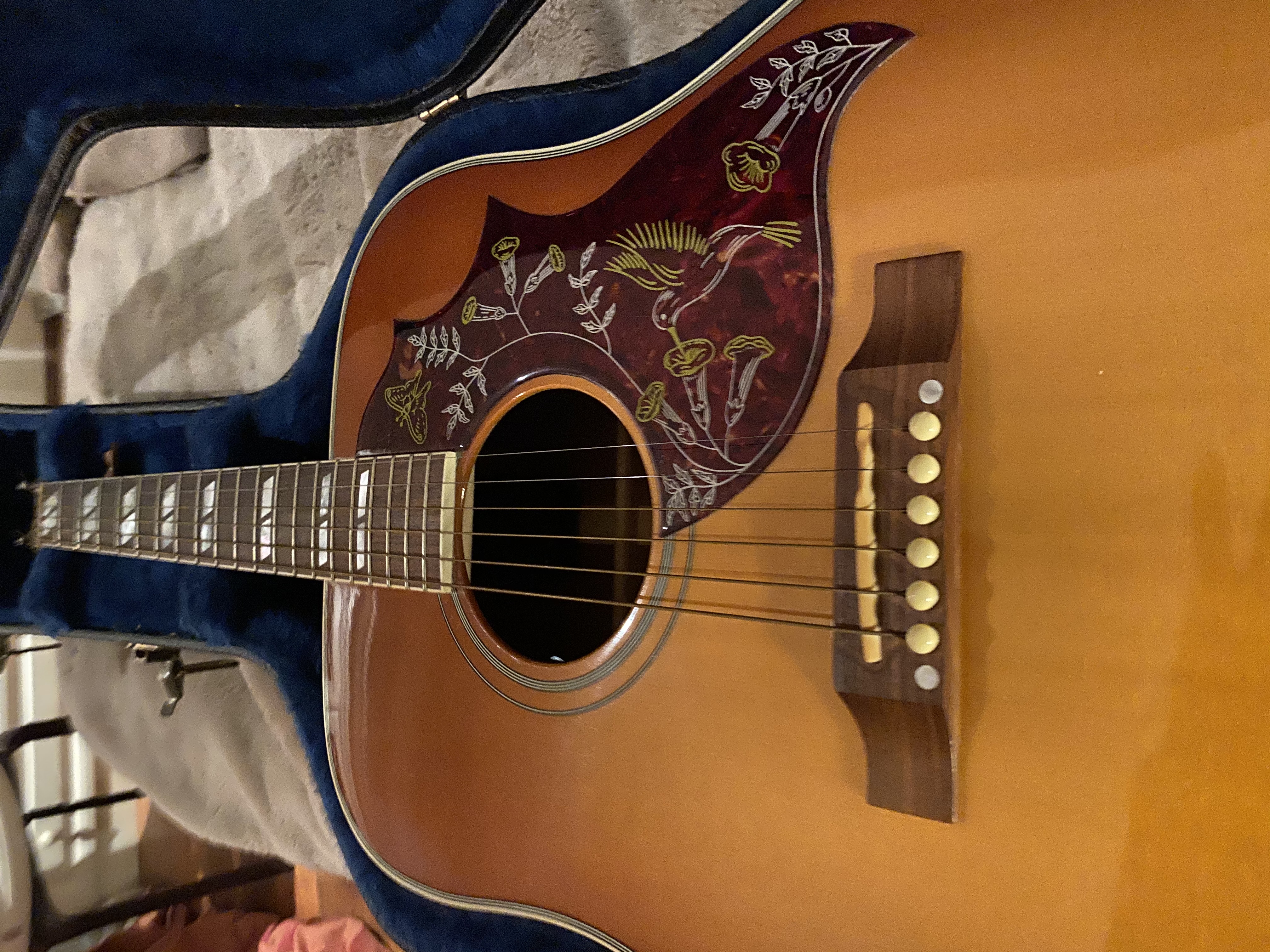Gibson Hummingbird gallery view 2